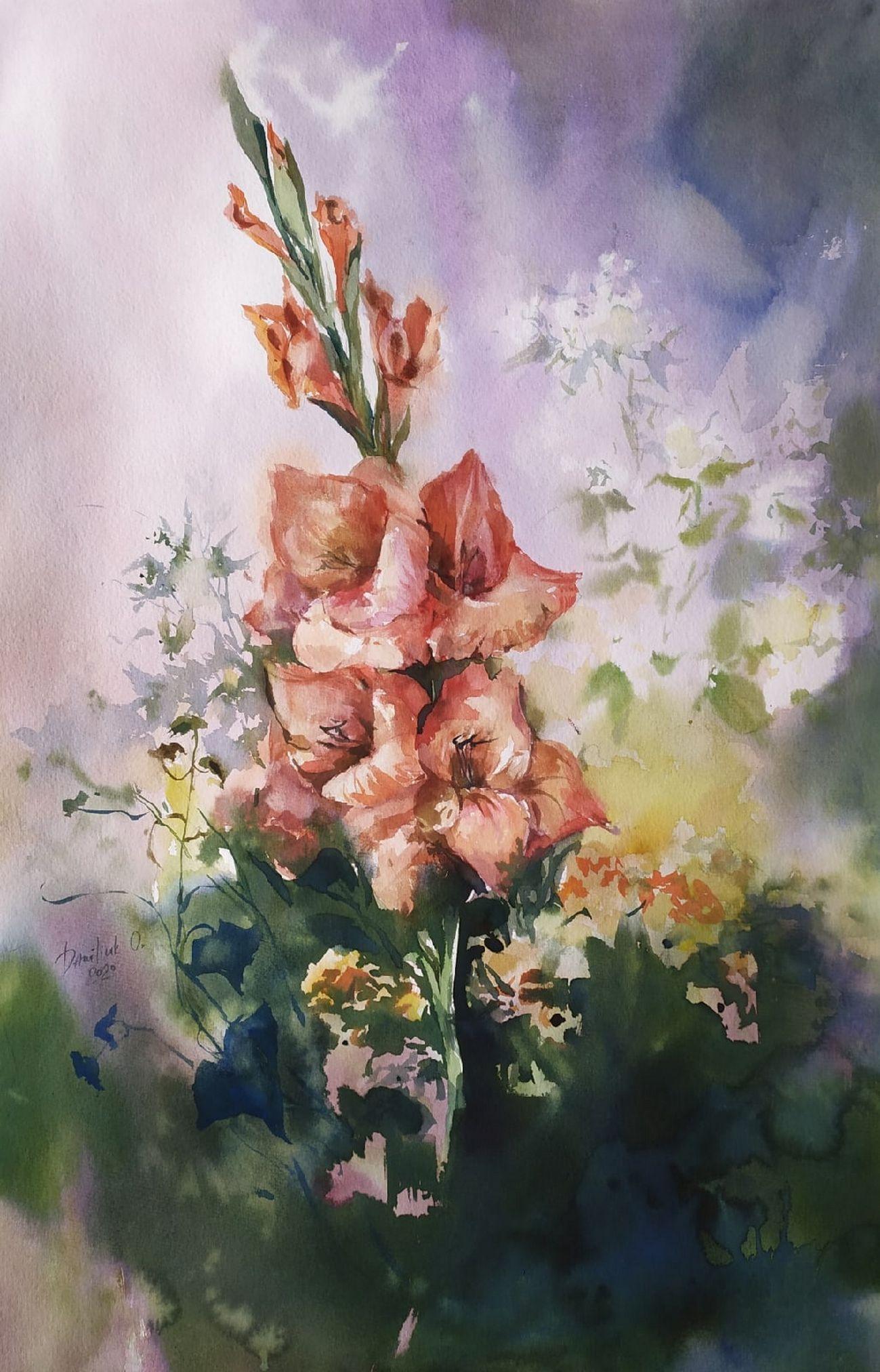 Gladiolus