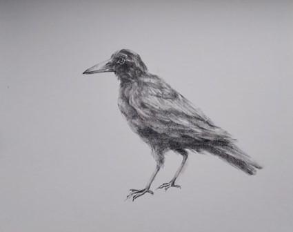 L'oiseau
