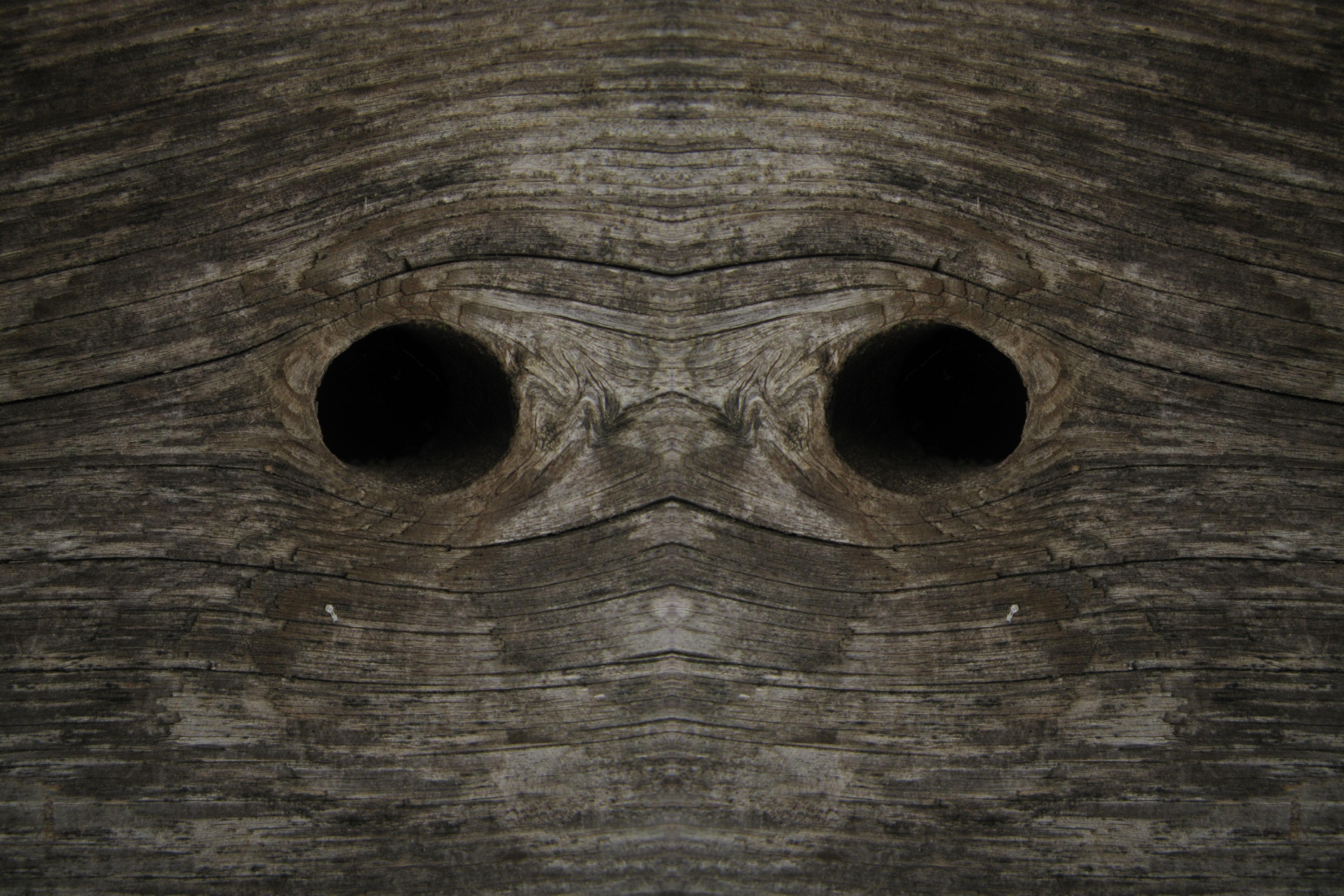 Yeux 2199