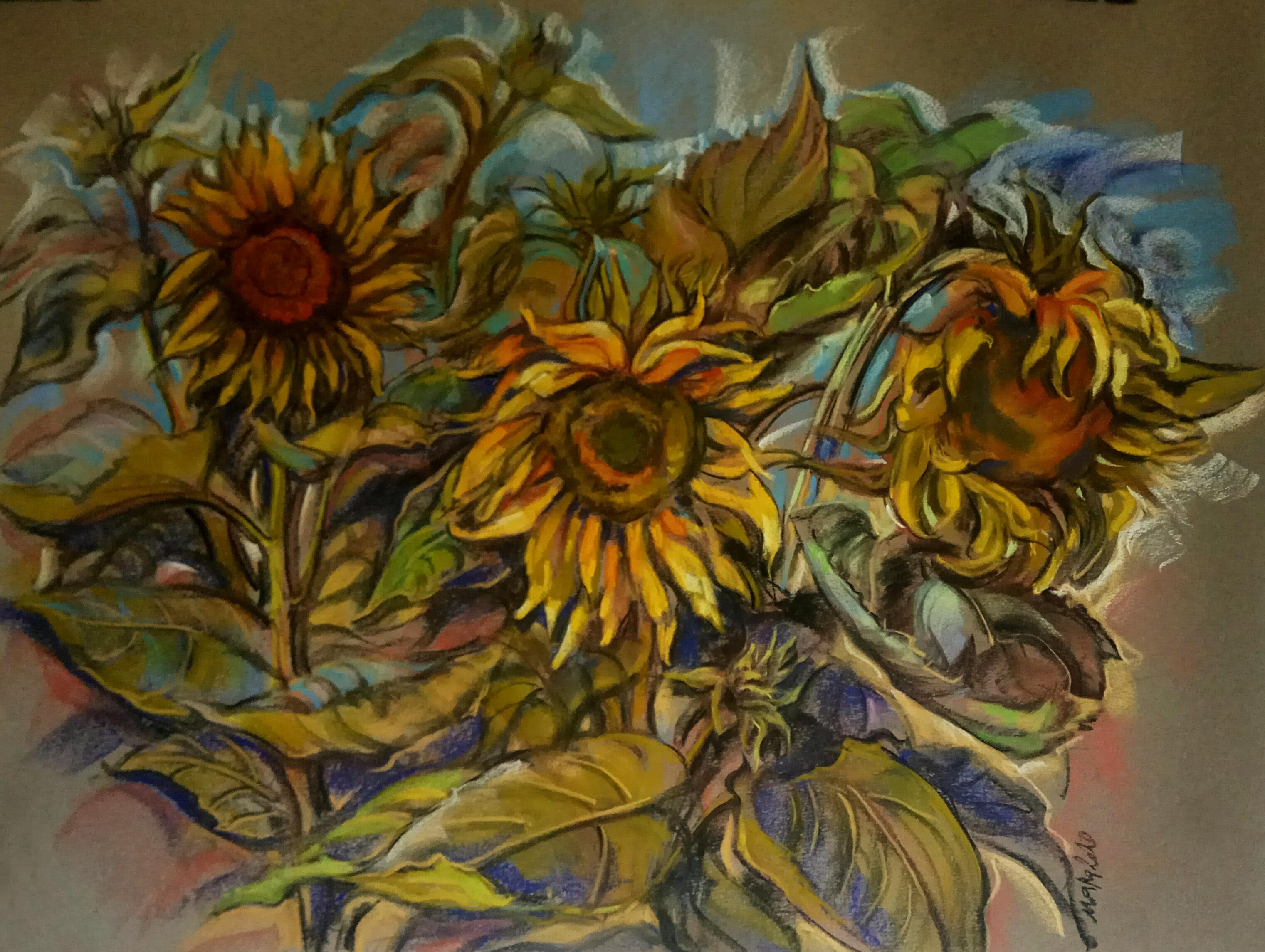 This Summer Sunflowers
